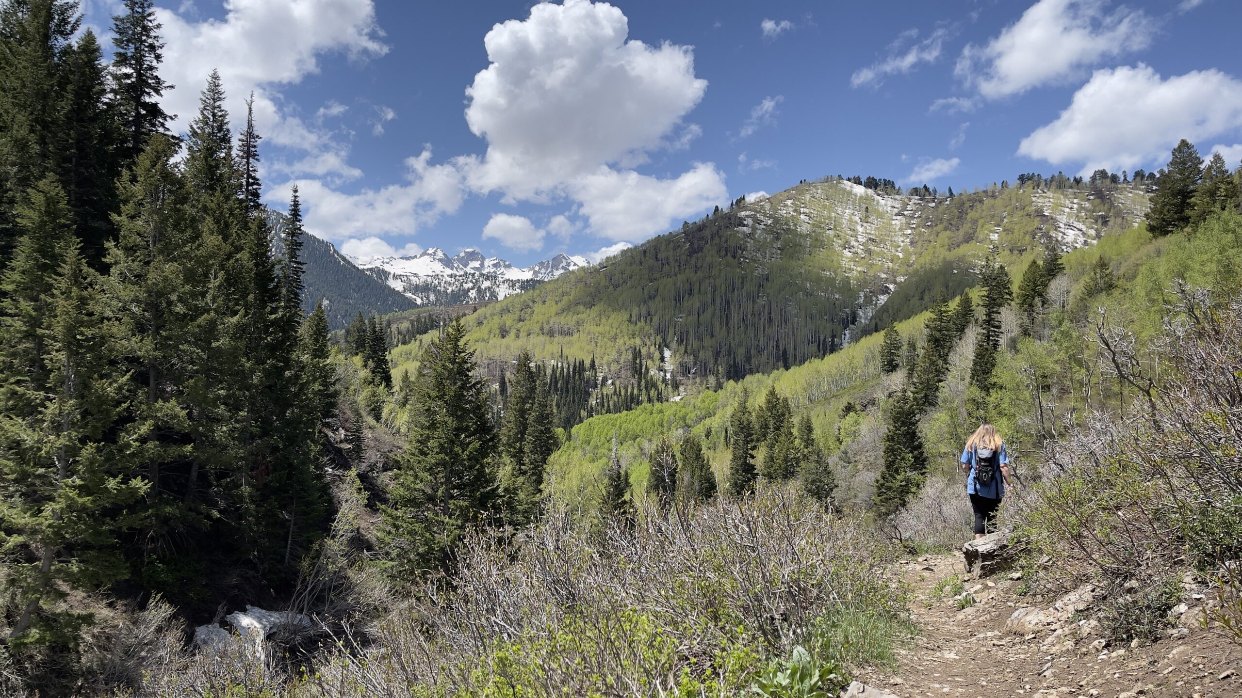 Hiking Dog Lake Via Butler Fork Trail - Adampcampbell.com